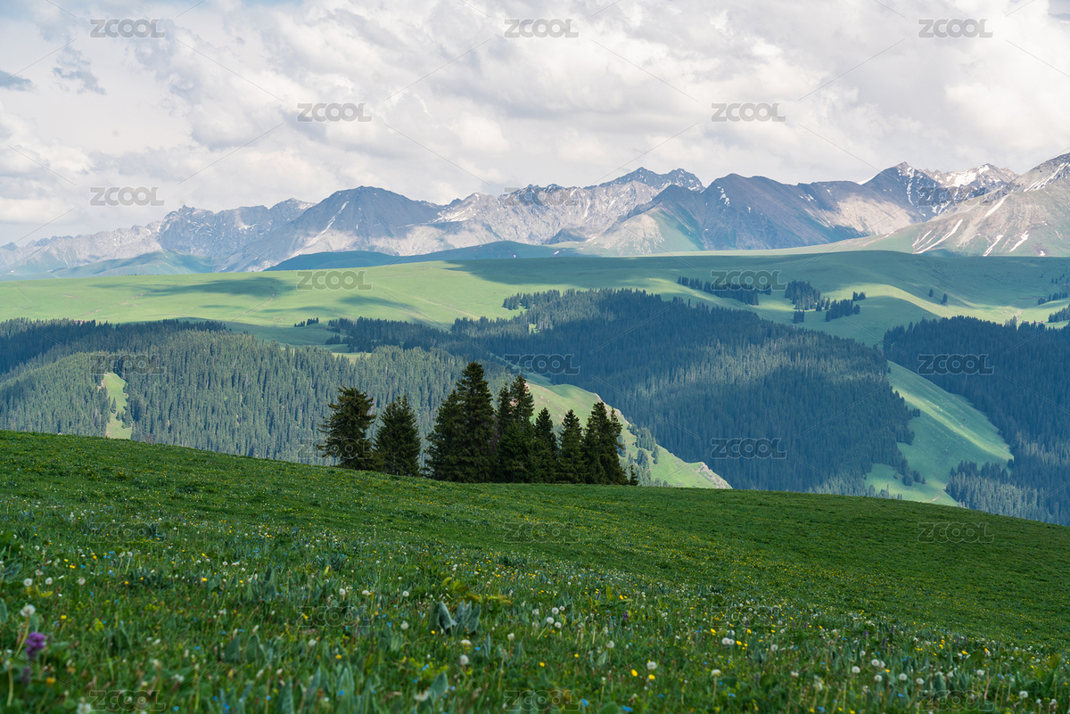夏天的中國新疆喀拉峻草原（主預(yù)覽-8080496） - 未分類 - 站酷設(shè)計師邊城布衣原創(chuàng)素材 - 站酷ZCOOL