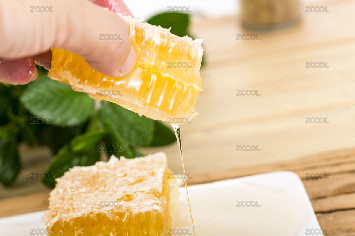 天然蜂巢蜜蜂蜜（主預(yù)覽-2438261） - 未分類 - 站酷設(shè)計(jì)師野鴉原創(chuàng)素材 - 站酷ZCOOL