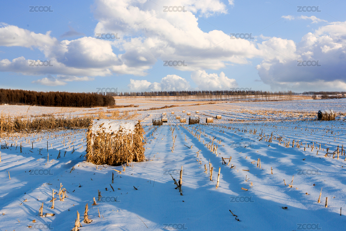秸稈打包（主預覽-3656118） - 未分類 - 站酷設計師艾攝影原創(chuàng)素材 - 站酷ZCOOL