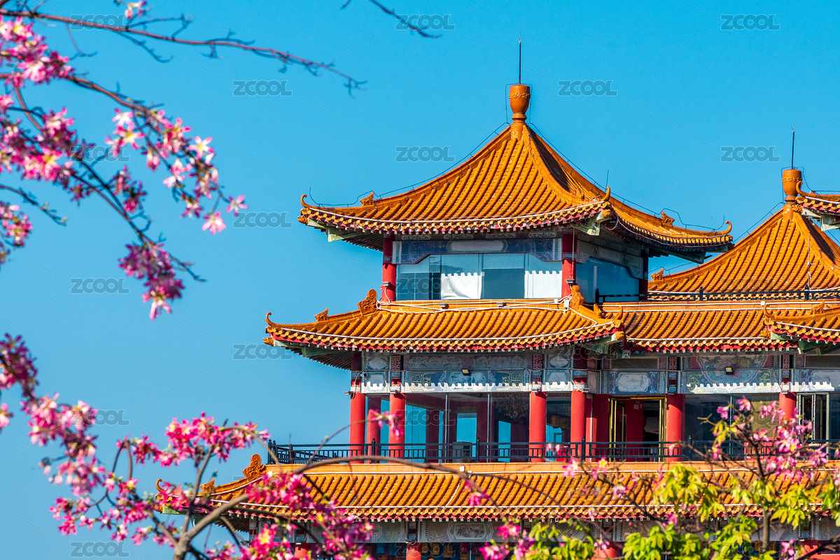 異木棉與珠海名亭樓得月坊（主預(yù)覽-178713） - 未分類 - 站酷設(shè)計師陳爍明原創(chuàng)素材 - 站酷ZCOOL