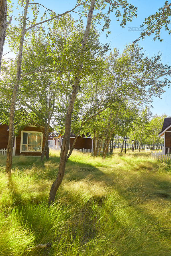 河北沽源庫倫淖而旅游度假村別墅區(qū)森林草地（主預(yù)覽-4765896） - 未分類 - 站酷設(shè)計師藍太陽TNT原創(chuàng)素材 - 站酷ZCOOL