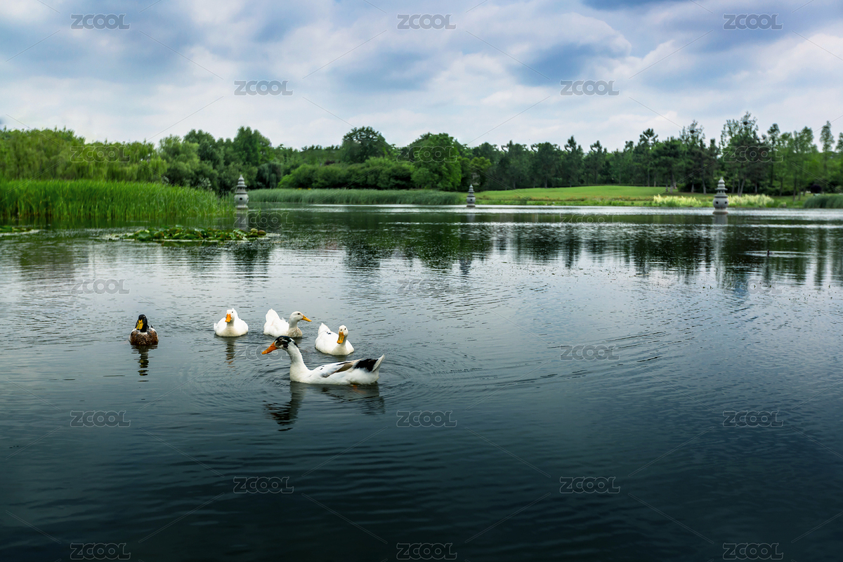 湖邊水域風(fēng)光（主預(yù)覽-808559） - 未分類(lèi) - 站酷設(shè)計(jì)師ZKWH2016原創(chuàng)素材 - 站酷ZCOOL