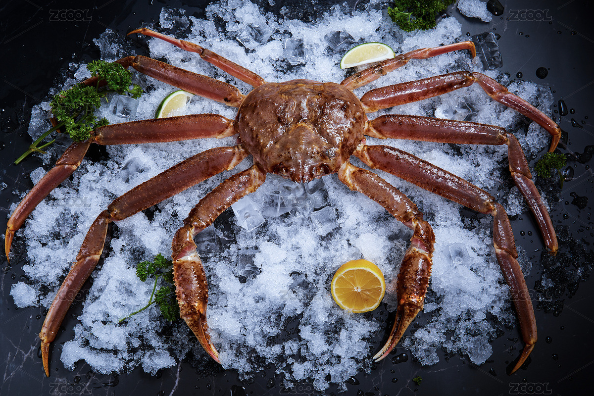 黑色背景冰塊上放著阿拉斯加長腳蟹（主預覽-5518363） - 未分類 - 站酷設計師Extra奕達達原創(chuàng)素材 - 站酷ZCOOL