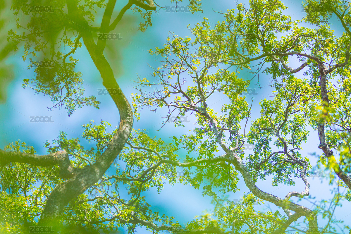 菲律賓宿務(wù)奧斯洛布島附近的蘇米龍群島風(fēng)光（主預(yù)覽-6097012） - 未分類 - 站酷設(shè)計(jì)師悅影隨行原創(chuàng)素材 - 站酷ZCOOL