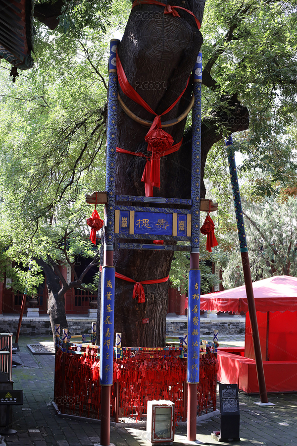 北京東岳廟（主預(yù)覽-8929797） - 未分類 - 站酷設(shè)計(jì)師lapaixdumonde原創(chuàng)素材 - 站酷ZCOOL