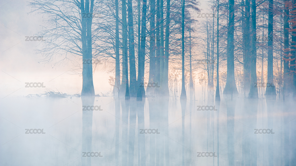 水上森林（主預覽-5680913） - 未分類 - 站酷設計師希望321原創(chuàng)素材 - 站酷ZCOOL