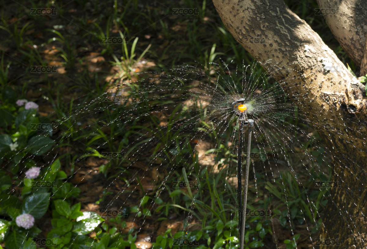 公園里澆花的小噴泉（主預(yù)覽-3886214） - 未分類 - 站酷設(shè)計師小秋粒原創(chuàng)素材 - 站酷ZCOOL