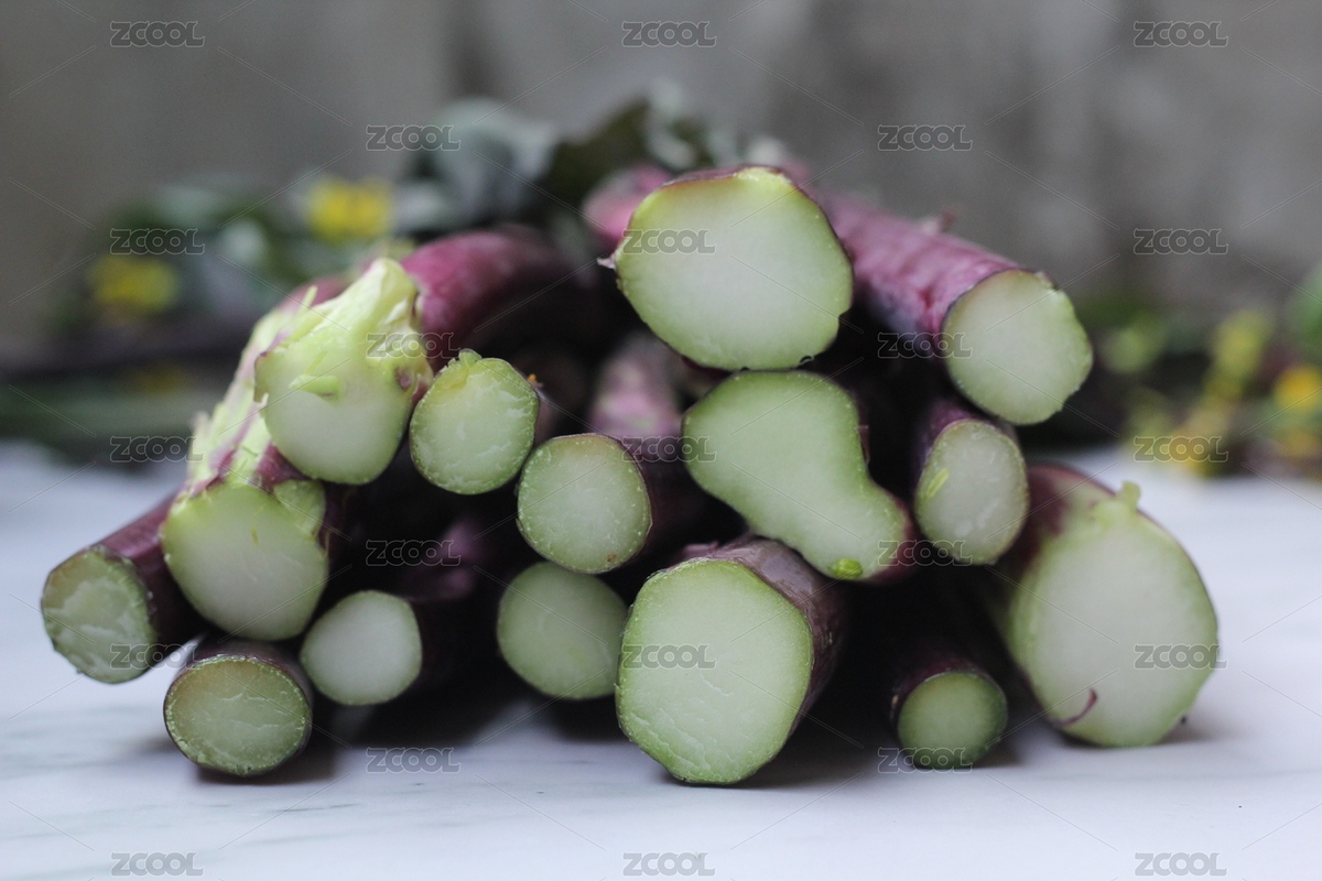 洪山菜苔根茎的特写（主预览-5376365） - 未分类 - 站酷设计师摹刻33原创素材 - 站酷ZCOOL
