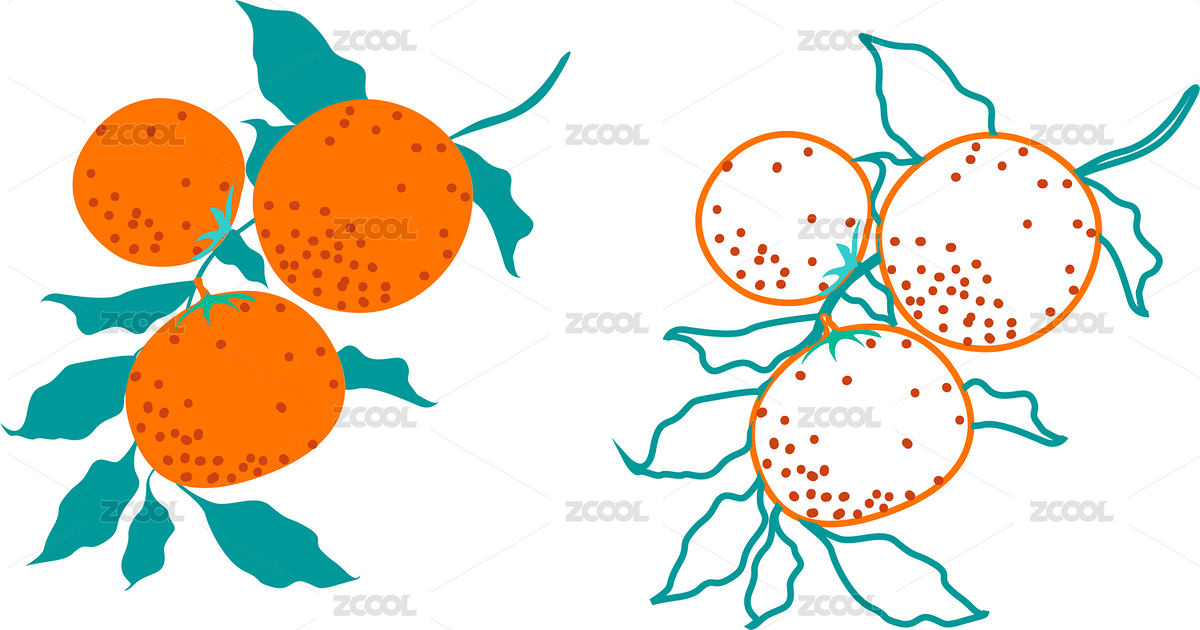 柑橘手繪圖（主預(yù)覽-646953） - 未分類 - 站酷設(shè)計(jì)師fflop原創(chuàng)素材 - 站酷ZCOOL