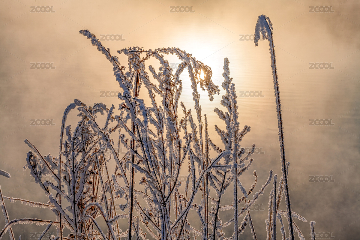 在極度寒冷的氣溫下會形成各種各樣的美麗冰花（主預覽-7317205） - 未分類 - 站酷設計師都文明原創(chuàng)素材 - 站酷ZCOOL