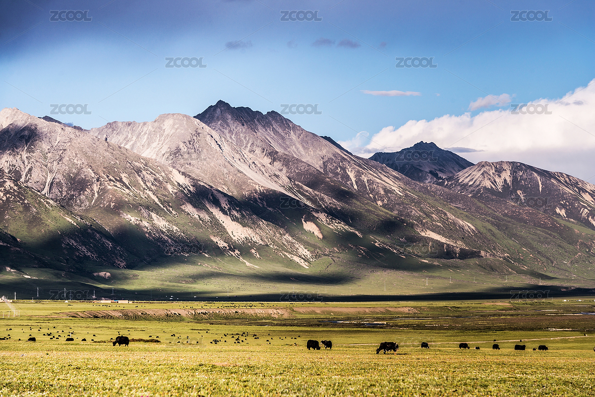草原（主预览-1788322） - 未分类 - 站酷设计师一壶烈酒原创素材 - 站酷ZCOOL