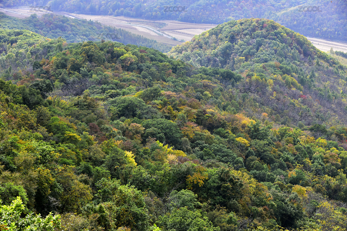 遼寧省撫順縣天女山森林公園高山秋景彩林（主預(yù)覽-12721947） - 未分類 - 站酷設(shè)計師時光來了原創(chuàng)素材 - 站酷ZCOOL