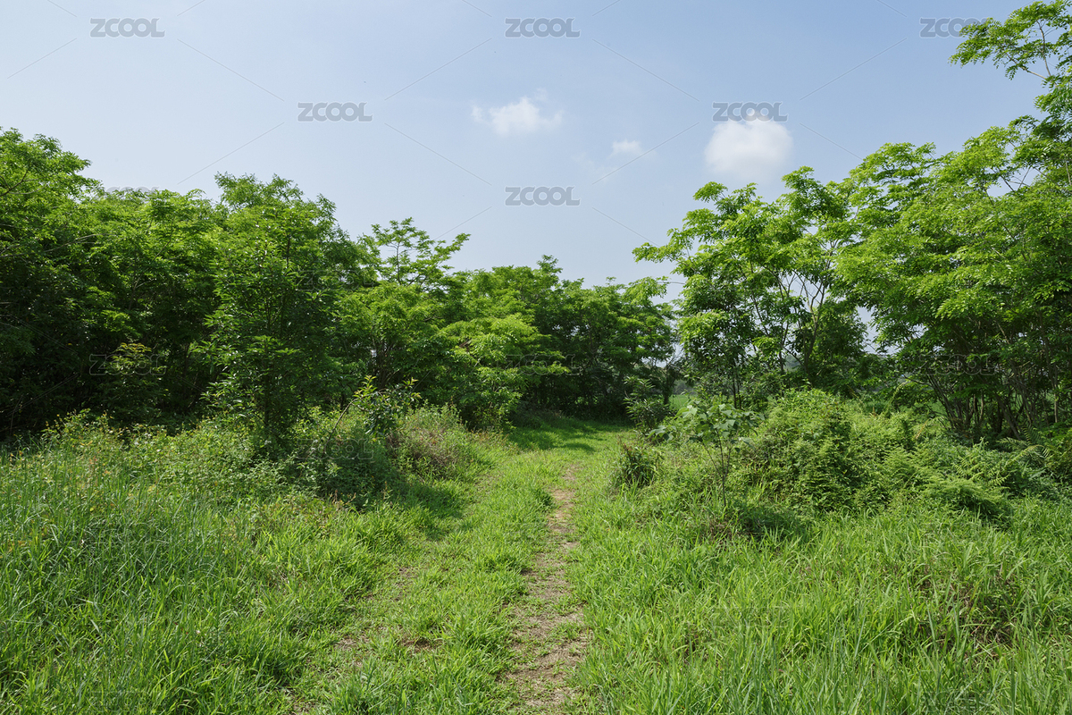 蓝色天空下的小路（主预览-3501157） - 未分类 - 站酷设计师吖先原创素材 - 站酷ZCOOL