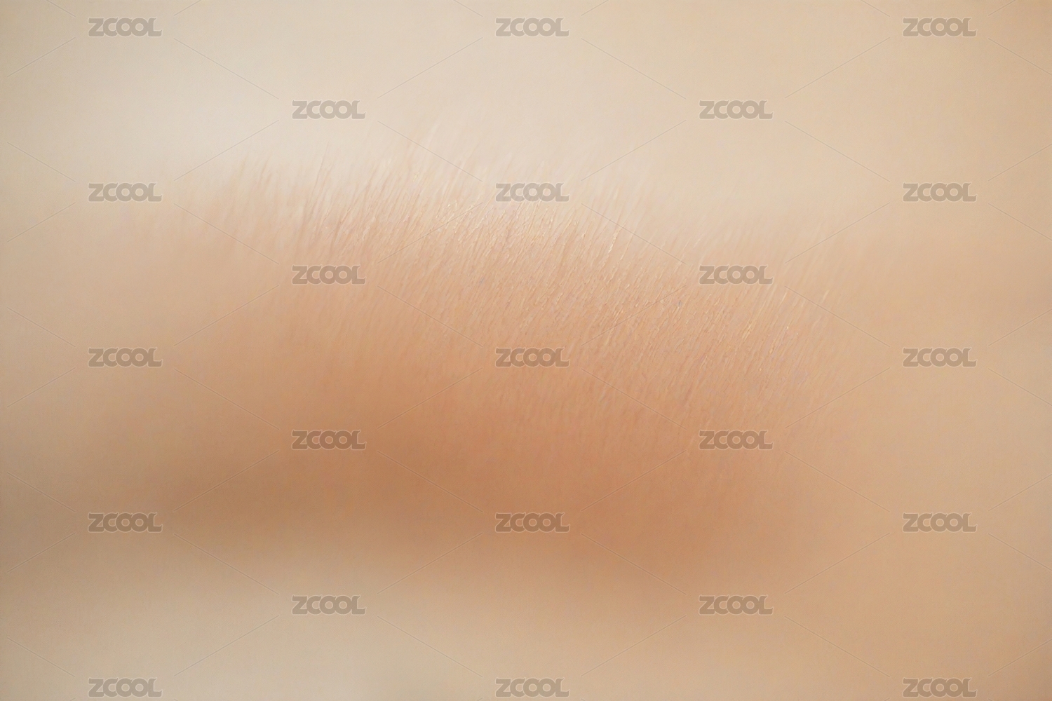 皮肤特写主题