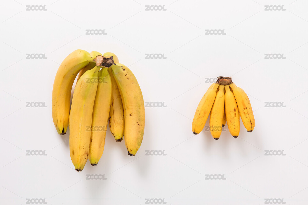 白底上大香蕉和小香蕉的對比圖（主預(yù)覽-2307842） - 未分類 - 站酷設(shè)計師zhane_luk原創(chuàng)素材 - 站酷ZCOOL