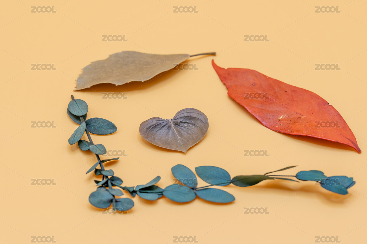 黃色背景下的樹(shù)葉標(biāo)本（主預(yù)覽-5153052） - 未分類(lèi) - 站酷設(shè)計(jì)師阿茲卡班的球童原創(chuàng)素材 - 站酷ZCOOL