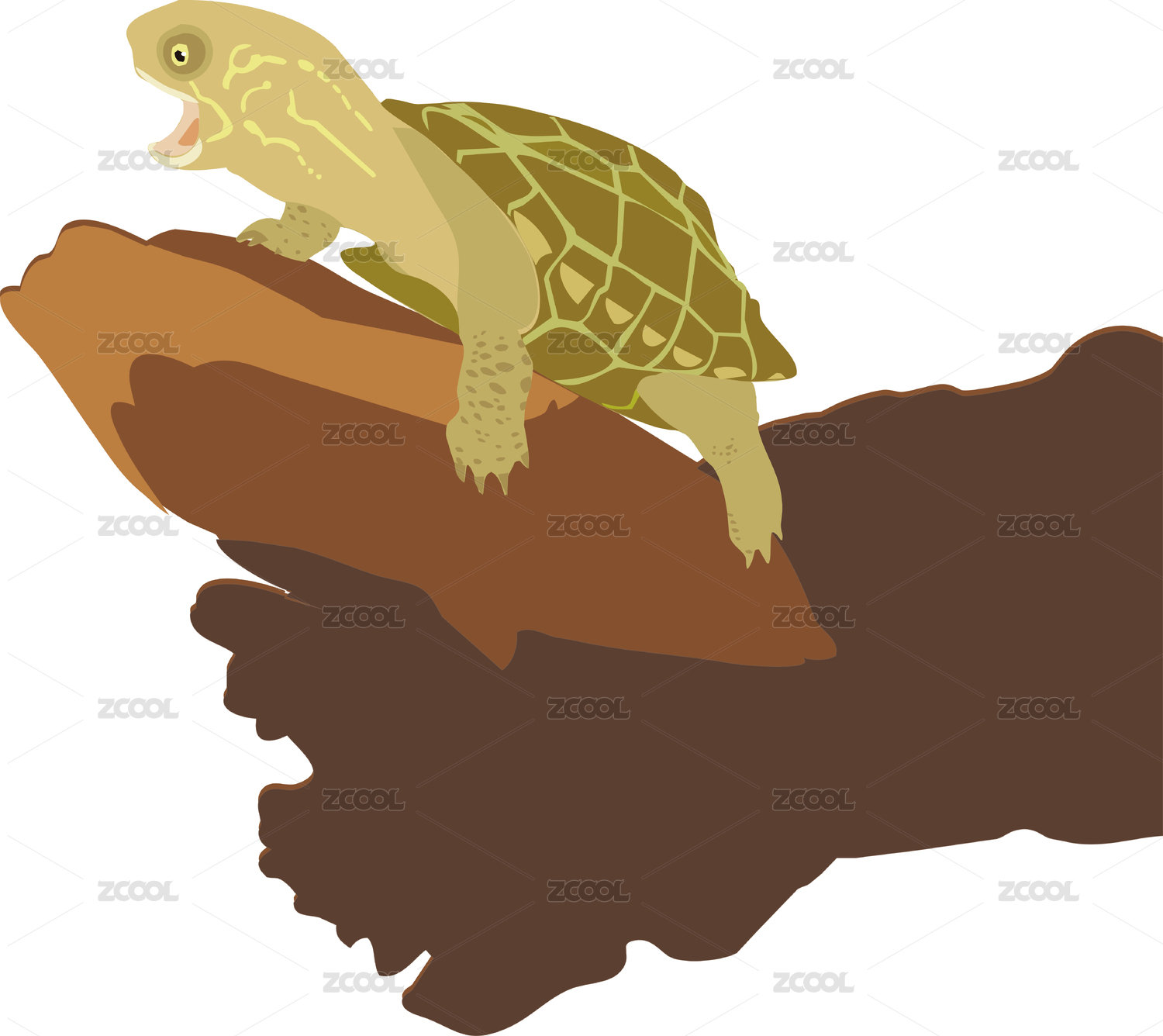 Turtle vector illustration. Hand drawn image.