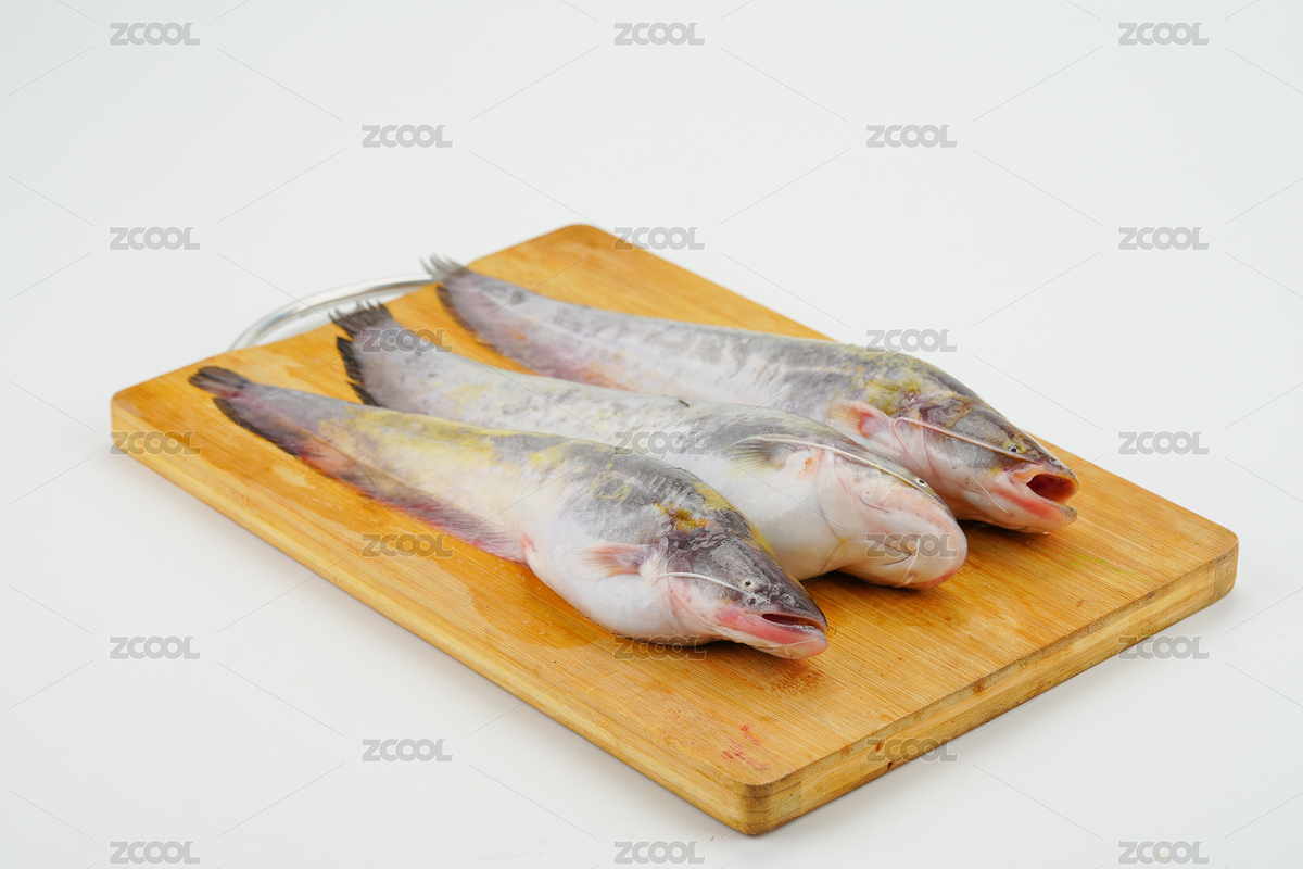 海鮮豆腐魚(yú)（主預(yù)覽-5906226） - 未分類 - 站酷設(shè)計(jì)師安147123原創(chuàng)素材 - 站酷ZCOOL