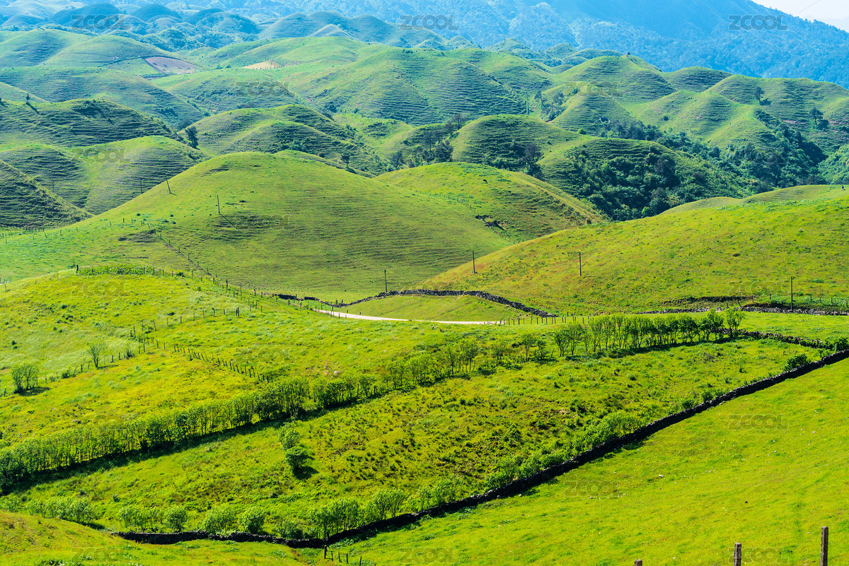 湖南邵陽市城步縣南山牧場風(fēng)光（主預(yù)覽-6677856） - 未分類 - 站酷設(shè)計師耀晨影像原創(chuàng)素材 - 站酷ZCOOL