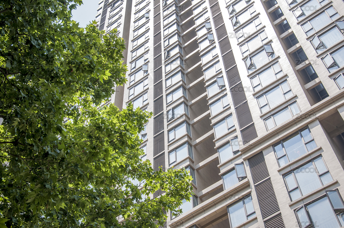 樹(shù)木和高聳的建筑樓宇（主預(yù)覽-6662365） - 未分類(lèi) - 站酷設(shè)計(jì)師racin原創(chuàng)素材 - 站酷ZCOOL