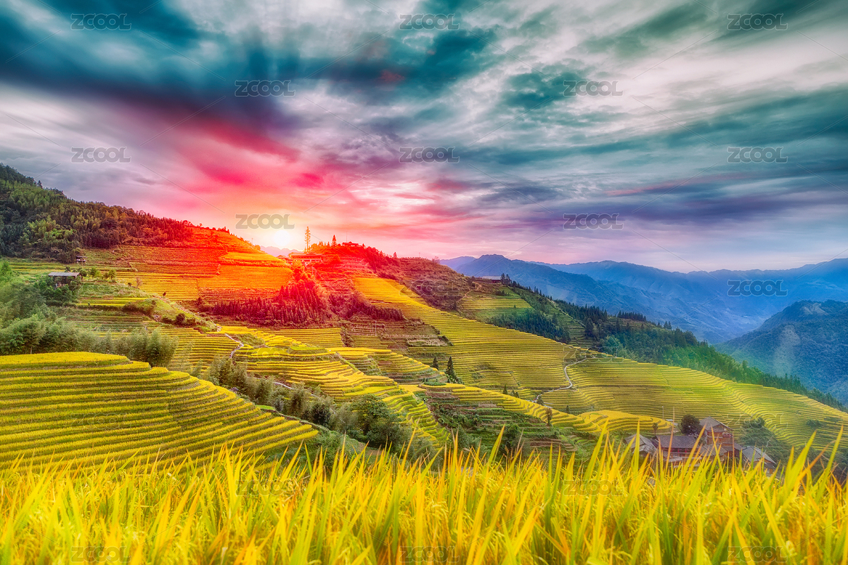 中國(guó)廣西桂林日出平安寨梯田（主預(yù)覽-4011985） - 未分類 - 站酷設(shè)計(jì)師老李菜刀原創(chuàng)素材 - 站酷ZCOOL