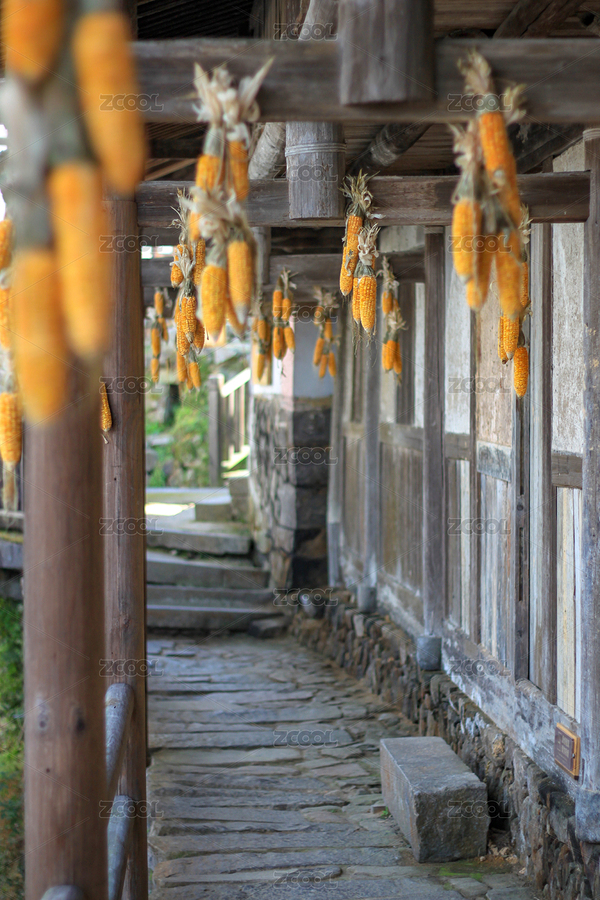 走廊的梁上掛著許多玉米棒（主預覽-4757146） - 未分類 - 站酷設計師邪氣凜然1原創(chuàng)素材 - 站酷ZCOOL