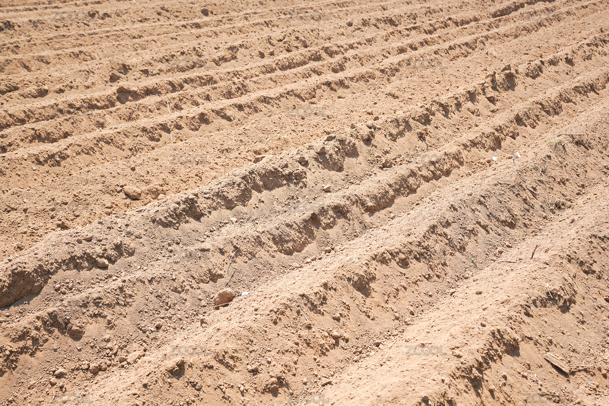 黃土地田地耕地（主預(yù)覽-7592037） - 未分類(lèi) - 站酷設(shè)計(jì)師安147123原創(chuàng)素材 - 站酷ZCOOL