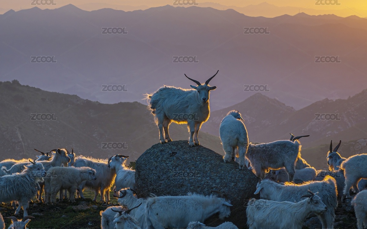 內(nèi)蒙古自治區(qū)赤峰市克什克騰旗大青山風(fēng)光航（主預(yù)覽-11102361） - 未分類 - 站酷設(shè)計師JuikangHsieh原創(chuàng)素材 - 站酷ZCOOL