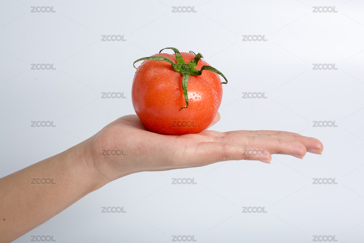 番茄/西紅柿（01）（主預(yù)覽-8567067） - 未分類 - 站酷設(shè)計師Janssenzx原創(chuàng)素材 - 站酷ZCOOL