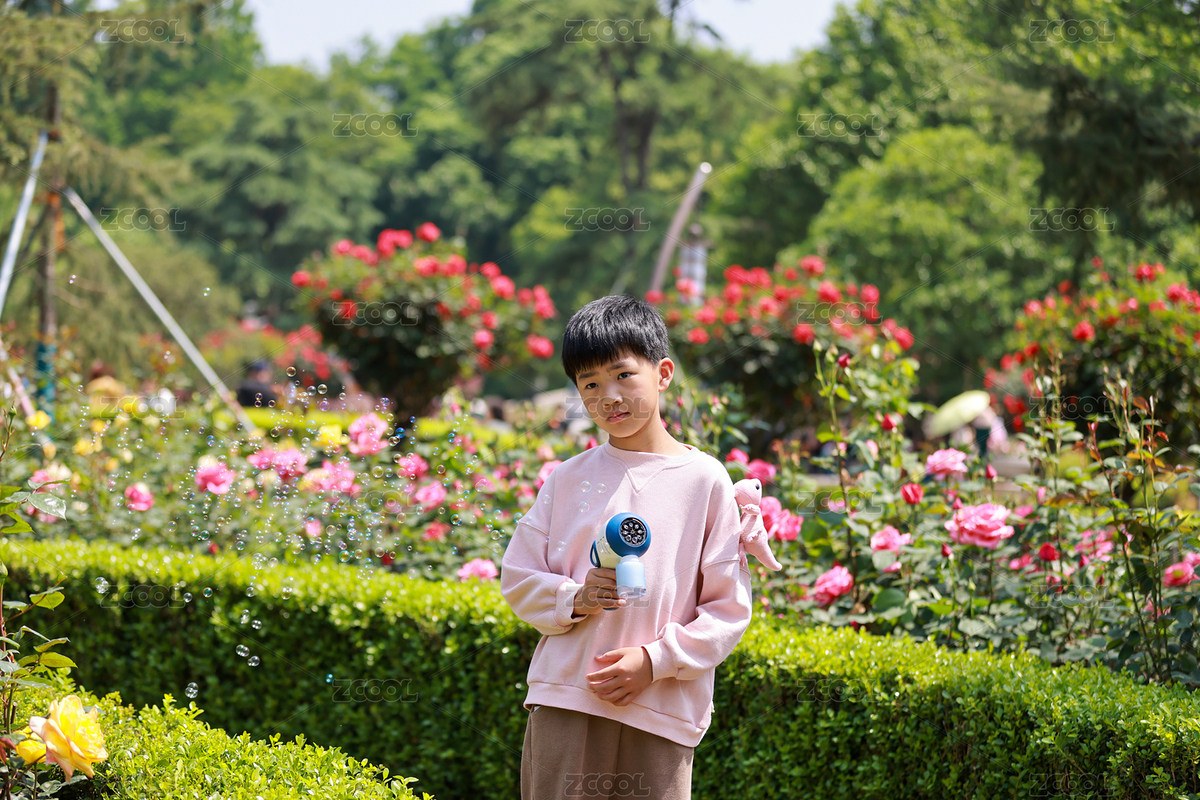 杭州花圃迎亞運月季花展賞花的男孩（主預覽-6077756） - 未分類 - 站酷設計師初小夏夏原創(chuàng)素材 - 站酷ZCOOL