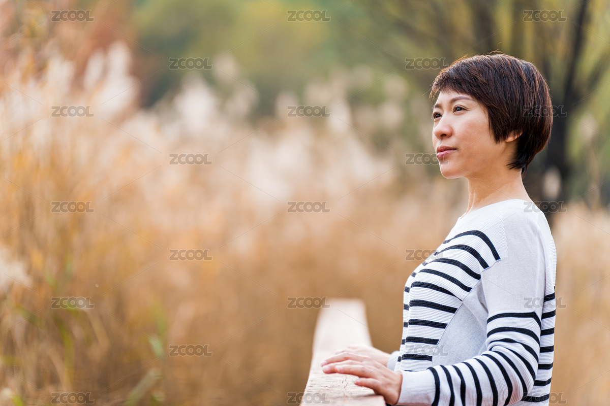 深秋站在蘆葦蕩橋邊欣賞秋季美景的東方女性（主預(yù)覽-8524879） - 未分類 - 站酷設(shè)計師wscwch原創(chuàng)素材 - 站酷ZCOOL
