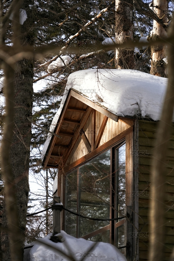 吉林長白山雪嶺冬季雪松霧凇景色（主預(yù)覽-7327969） - 未分類 - 站酷設(shè)計師colins123原創(chuàng)素材 - 站酷ZCOOL