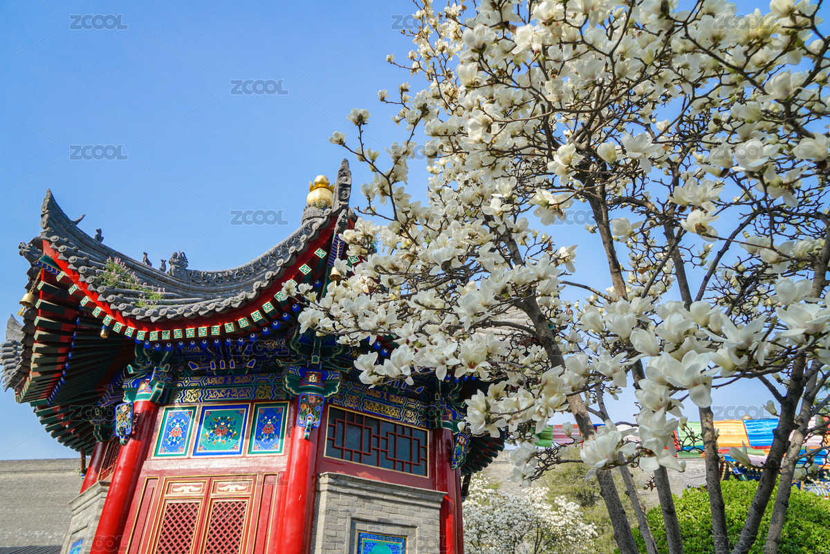 中國陜西西安廣仁寺風光（主預覽-7467419） - 未分類 - 站酷設計師尸出三壽原創(chuàng)素材 - 站酷ZCOOL