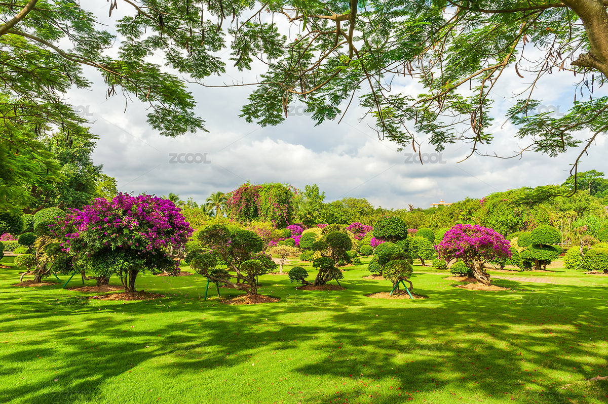 中國云南省西雙版納州景洪市熱帶花卉園風(fēng)景（主預(yù)覽-8939401） - 未分類 - 站酷設(shè)計(jì)師金胡楊原創(chuàng)素材 - 站酷ZCOOL