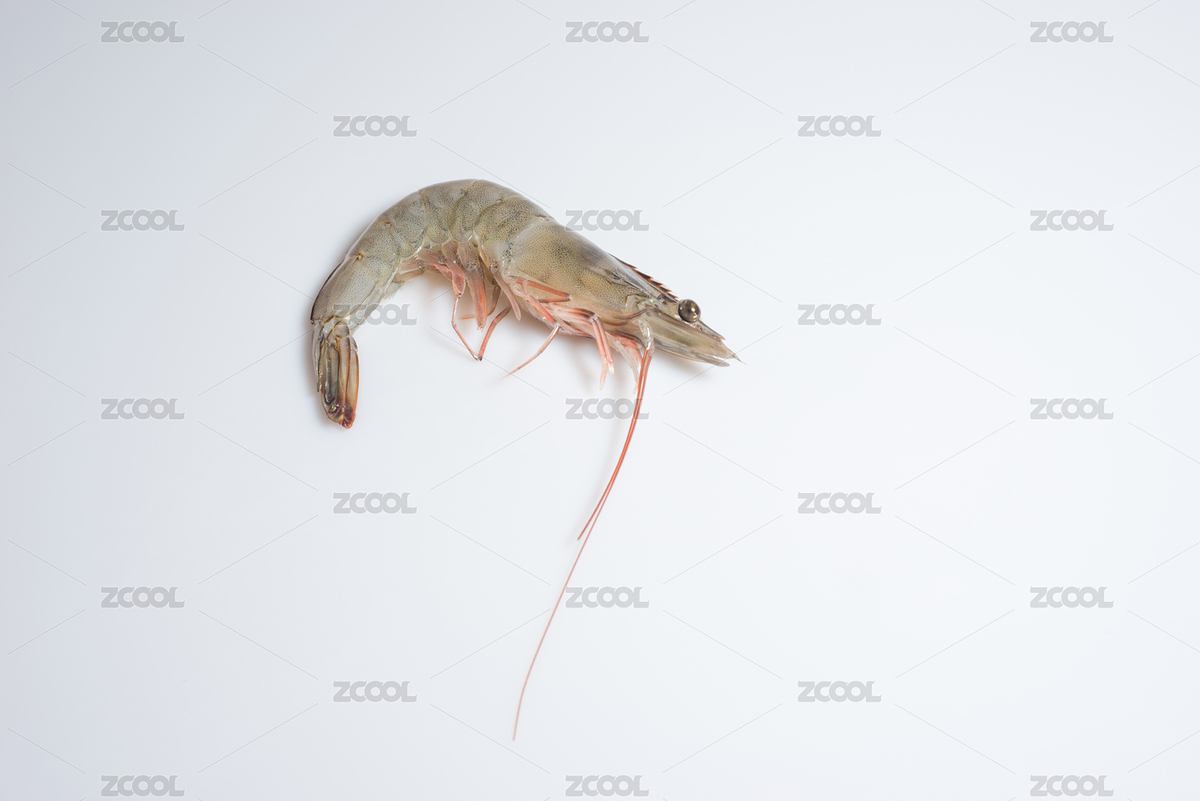 健康食材（主預覽-3763074） - 未分類 - 站酷設(shè)計師格子jerry原創(chuàng)素材 - 站酷ZCOOL