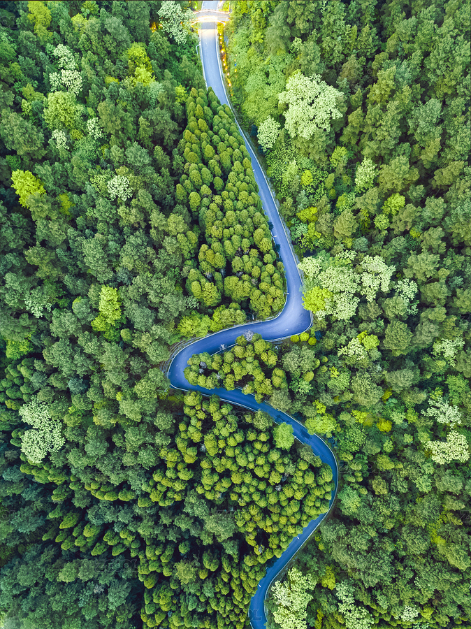 航拍俯视绿树林间弯曲蜿蜒的公路（主预览-3735362） - 未分类 - 站酷设计师Happiness丶7原创素材 - 站酷ZCOOL
