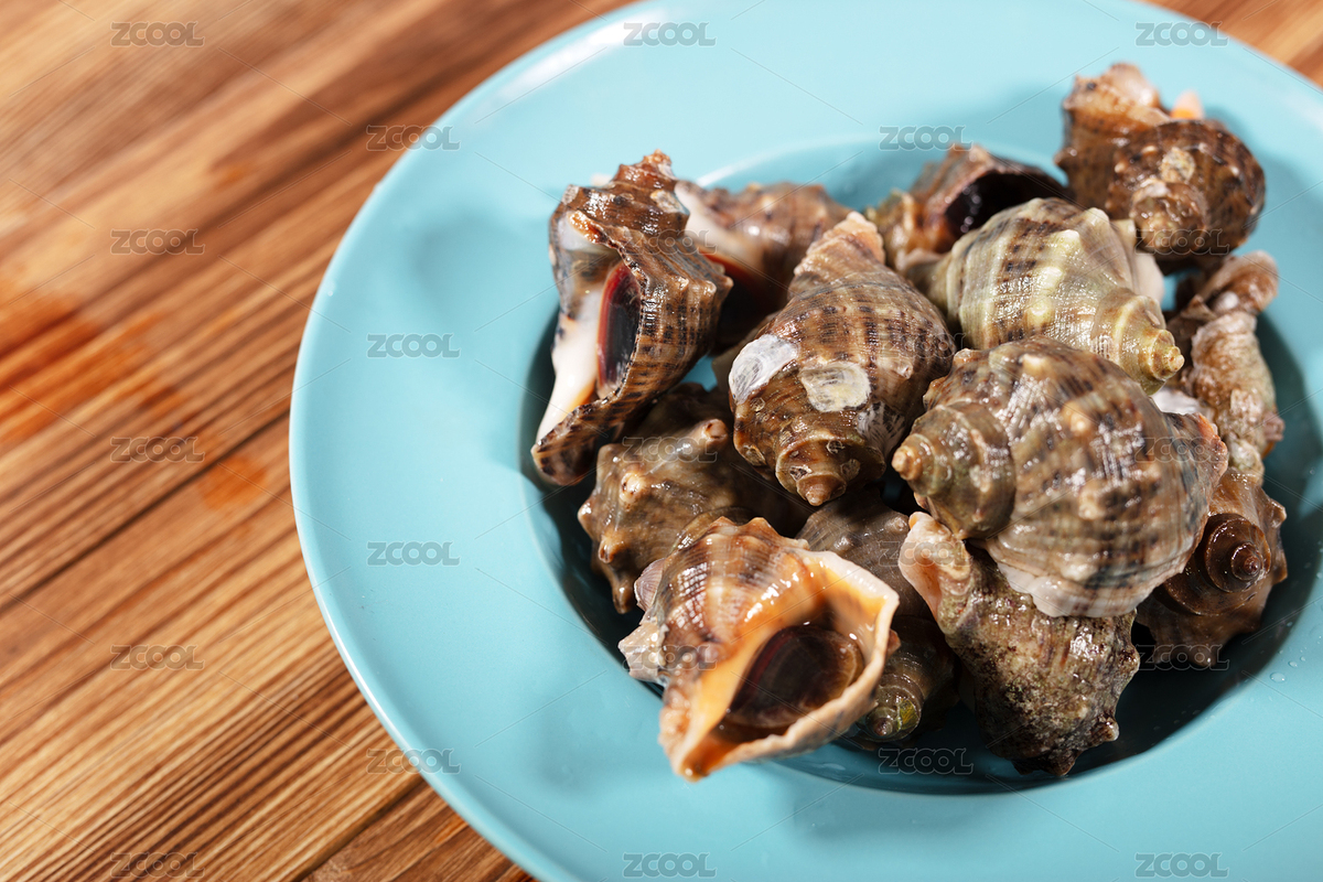 洗干净的海螺在盘子里（主预览-8833302） - 未分类 - 站酷设计师小羽怪原创素材 - 站酷ZCOOL