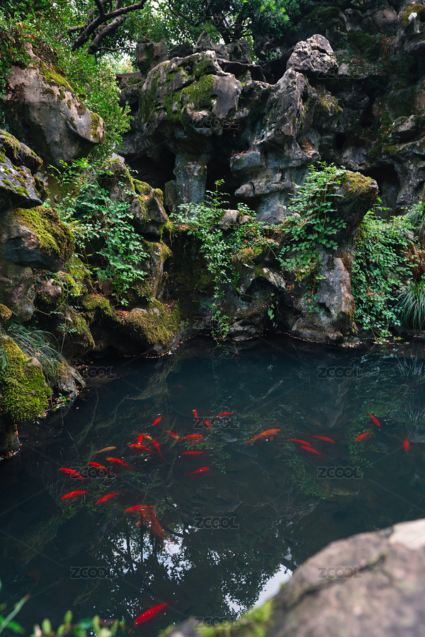 中國浙江杭州西湖假山魚池（主預(yù)覽-11353642） - 未分類 - 站酷設(shè)計師dalehall原創(chuàng)素材 - 站酷ZCOOL