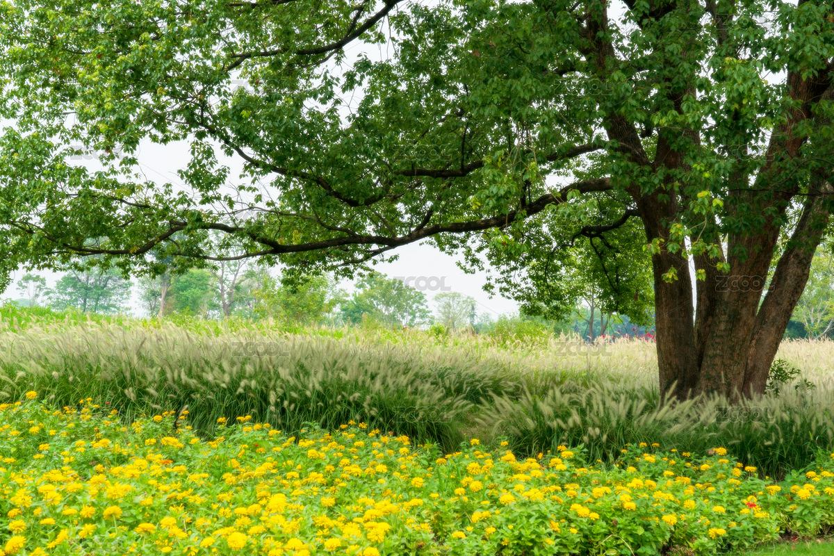 中國(guó)浙江省杭州余杭區(qū)良渚國(guó)家遺址公園風(fēng)光（主預(yù)覽-7117538） - 未分類 - 站酷設(shè)計(jì)師Z26302855原創(chuàng)素材 - 站酷ZCOOL