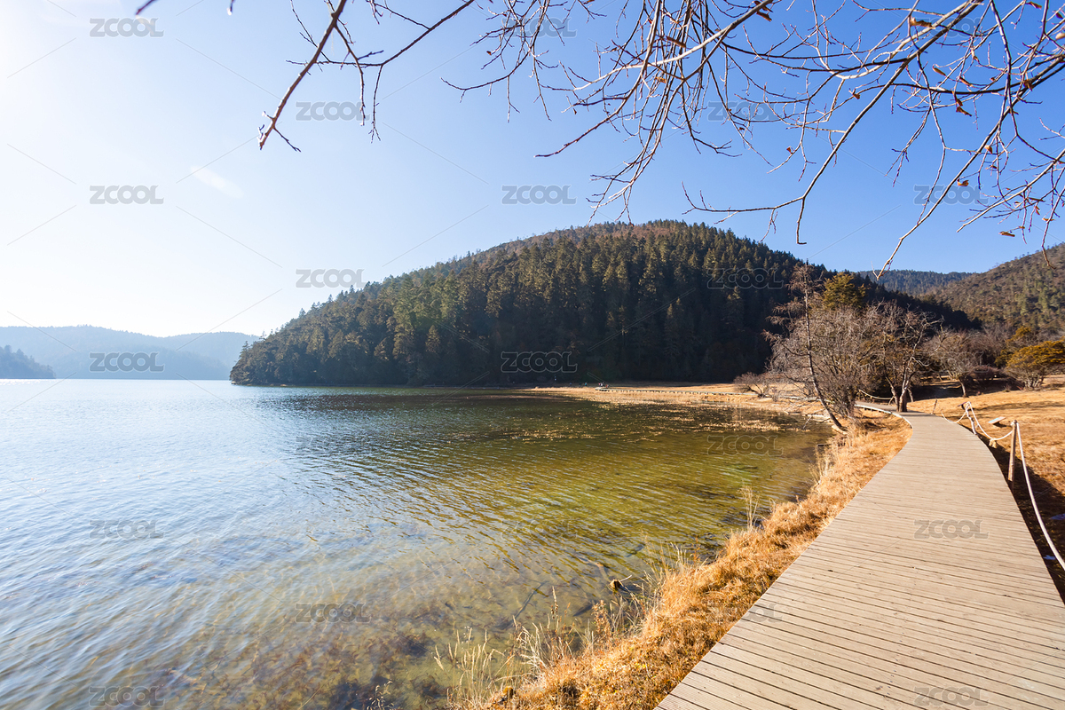 林間湖畔木棧道（主預(yù)覽-10687529） - 未分類 - 站酷設(shè)計師白子梁原創(chuàng)素材 - 站酷ZCOOL