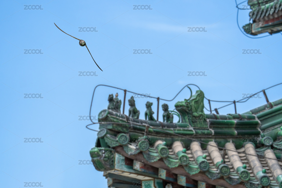 頤和園古建筑斗拱邊的北京雨燕（主預覽-7526648） - 未分類 - 站酷設計師新手羅原創(chuàng)素材 - 站酷ZCOOL