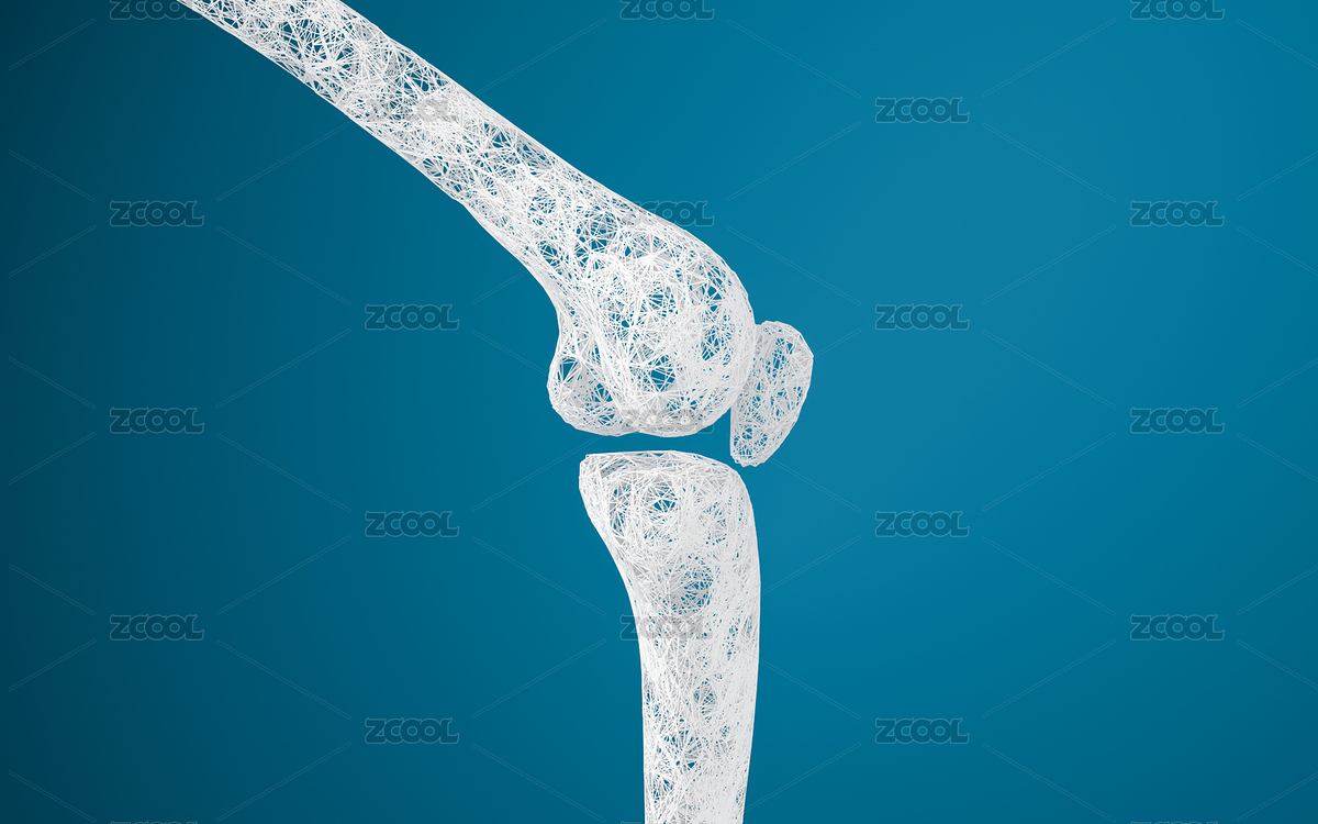 腿部膝蓋骨骼 3D渲染（主預(yù)覽-6936744） - 未分類 - 站酷設(shè)計(jì)師VinkFan原創(chuàng)素材 - 站酷ZCOOL