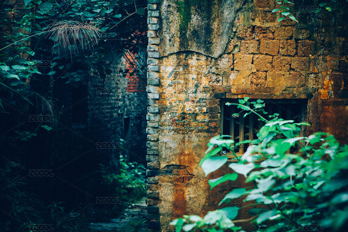 破舊荒蕪的老屋木窗長出植物（主預(yù)覽-7196416） - 未分類 - 站酷設(shè)計(jì)師曇華碎影原創(chuàng)素材 - 站酷ZCOOL