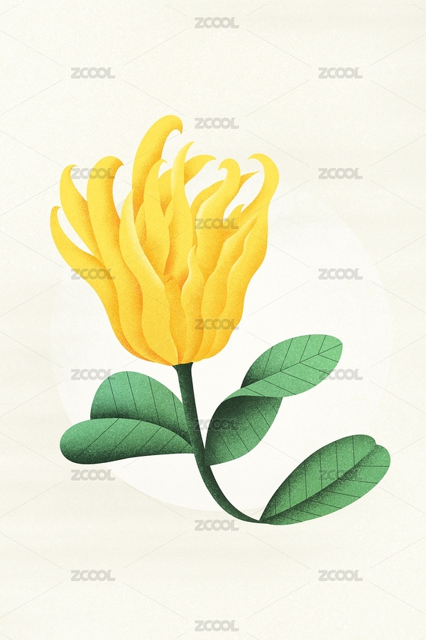 扁平噪点风格佛手柑植物插画（主预览-10649032） - 未分类 - 站酷设计师LeLeWong原创素材 - 站酷ZCOOL