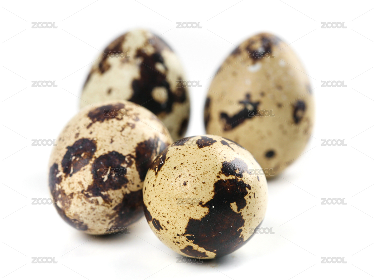 白底上放着四个完整的农家散养鹌鹑蛋（主预览-7176961） - 未分类 - 站酷设计师PAOPAO摄影工作室原创素材 - 站酷ZCOOL