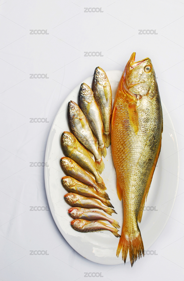 野生大黃魚（主預覽-7979788） - 未分類 - 站酷設計師老魚美食原創(chuàng)素材 - 站酷ZCOOL