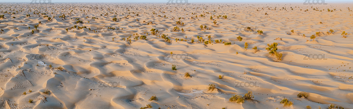 中國新疆南疆塔里木盆地塔克拉瑪干沙漠（主預(yù)覽-1216122） - 未分類 - 站酷設(shè)計師zxl2046原創(chuàng)素材 - 站酷ZCOOL