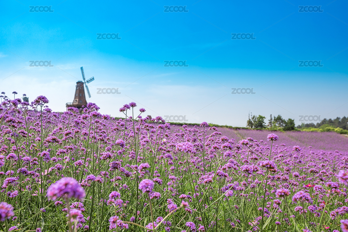 中國(guó)江蘇南京江浦滁河風(fēng)光帶（主預(yù)覽-1529117） - 未分類 - 站酷設(shè)計(jì)師青衿人原創(chuàng)素材 - 站酷ZCOOL