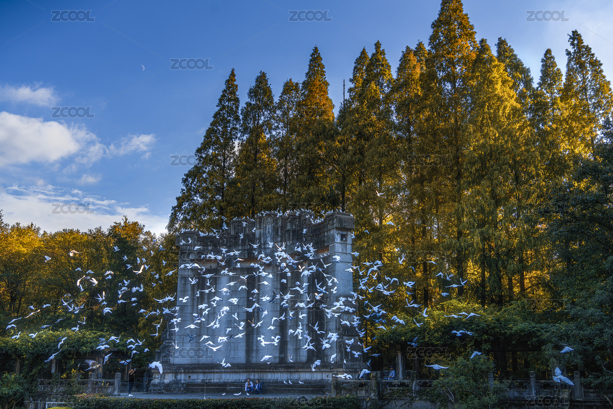 南京中山陵音樂臺（主預(yù)覽-7835868） - 未分類 - 站酷設(shè)計(jì)師林林林Rose原創(chuàng)素材 - 站酷ZCOOL