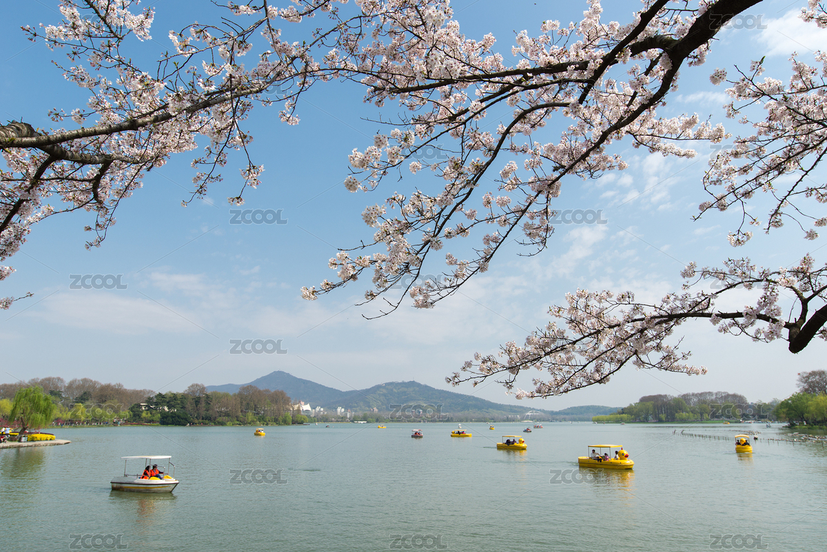 玄武湖公園（主預(yù)覽-6087955） - 未分類 - 站酷設(shè)計(jì)師偷懶的老牛原創(chuàng)素材 - 站酷ZCOOL